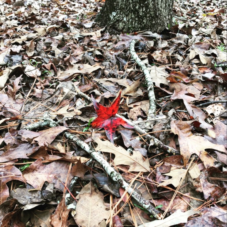 12E4A22C-D733-4906-A47D-F8093964BD48