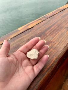 06EF31E6-DFB9-4702-98CD-5AF86694FF1B